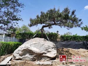 庭院擺放硬汉视频官网在线观看免费有什麽講究